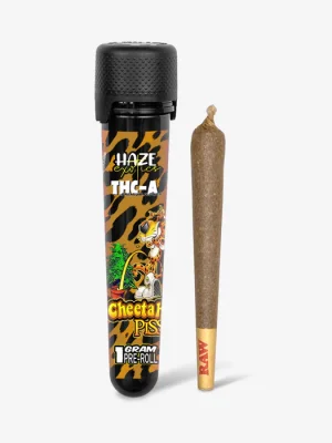 THC-A Flower / Cheetah Piss / 1g Preroll / Haze Exotics