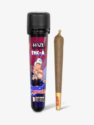THC-A Flower / Monica Lewinsky / 1g Preroll / Haze Exotics