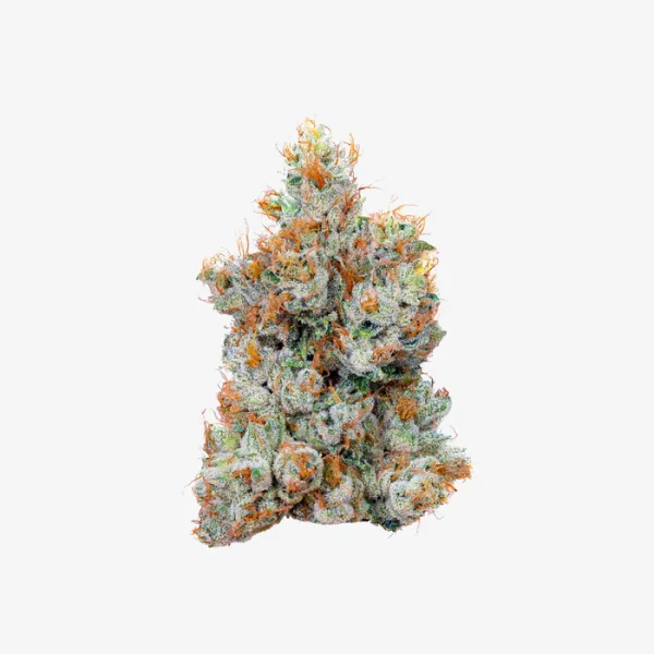 THC-A Flower / Lemon Dock / 3.5g Jar / Haze Exotics Gold Reserve