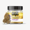 THC-A Flower / Purple Panty Dropper / 3.5g Jar / Haze Exotics Gold Reserve