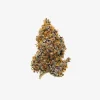 THC-A Flower / Purple Panty Dropper / 3.5g Jar / Haze Exotics Gold Reserve