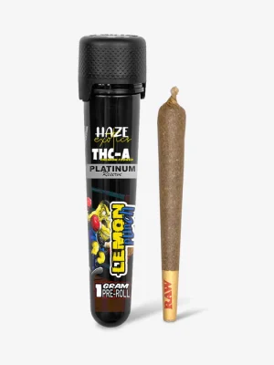 THC-A Flower / Lemon Punch / 1g Preroll / Haze Exotics Platinum Reserve
