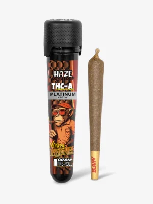 THC-A Flower / Monkey Berries / 1g Preroll / Haze Exotics Platinum Reserve