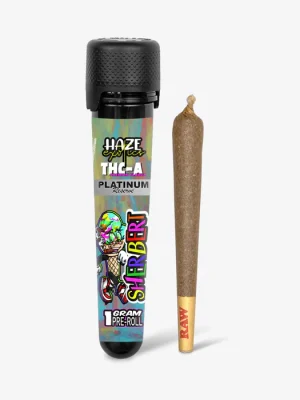 THC-A Flower / Sherbert / 1g Preroll / Haze Exotics Platinum Reserve