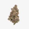 THC-A Flower / Blockberry / 3.5g Jar / Haze Exotics Platinum Reserve