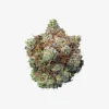 THC-A Flower / Bubblegum / 3.5g Jar / Haze Exotics Platinum Reserve