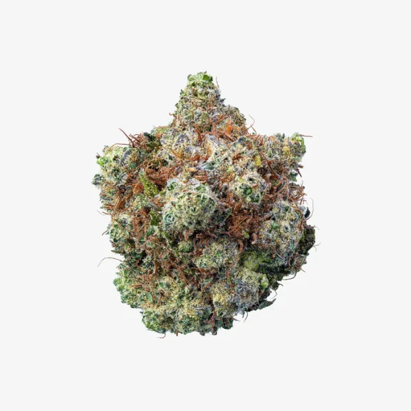 THC-A Flower / Bubblegum / 3.5g Jar / Haze Exotics Platinum Reserve