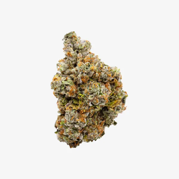 THC-A Flower / Grape Gremlin / 3.5g Jar / Haze Exotics Platinum Reserve