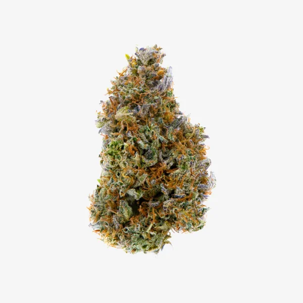 THC-A Flower / Skunk Master Funk / 3.5g Jar / Haze Exotics Platinum Reserve