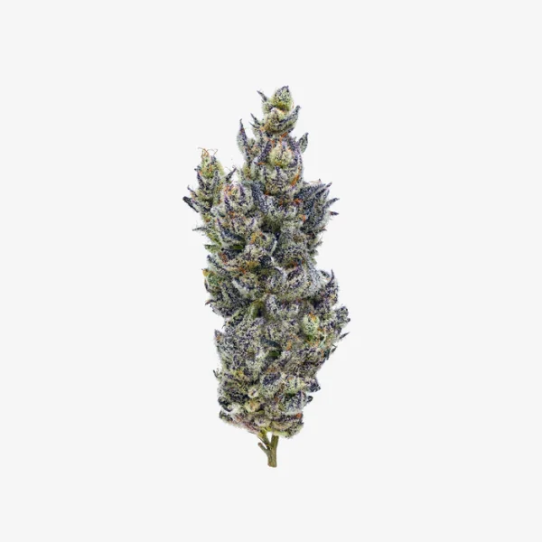 THC-A Flower / Kacklesnatch / 3.5g Jar / Haze Exotics Platinum Reserve