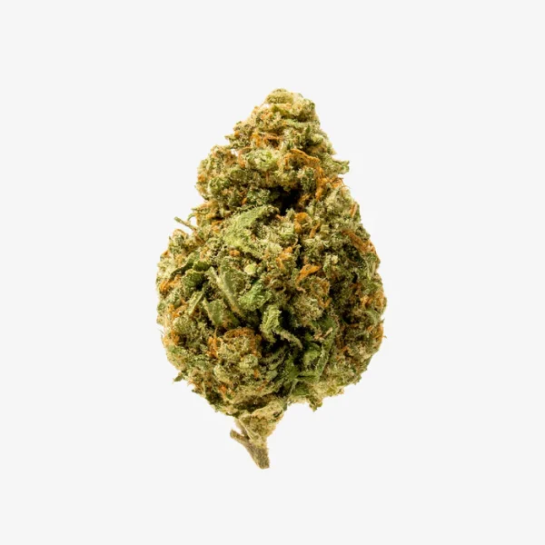 THC-A Flower / Neon Wasabi / 3.5g Jar / Haze Exotics Platinum Reserve