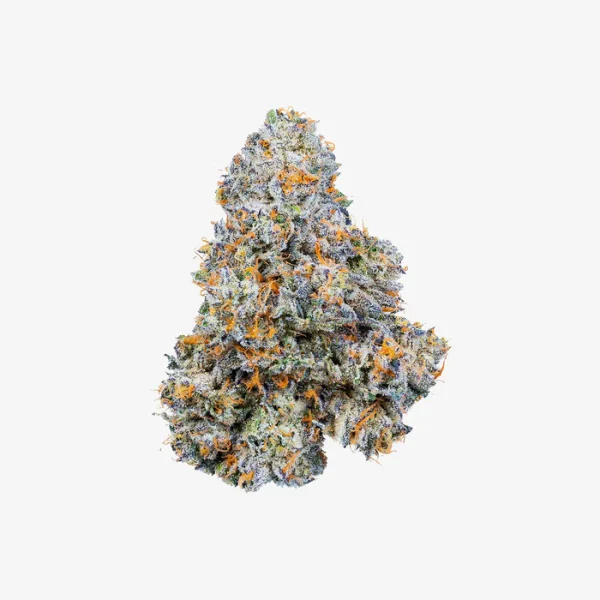 THC-A Flower / Permanent Marker / 3.5g Jar / Haze Exotics Platinum Reserve