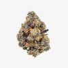 THC-A Flower / Prism Maker / 3.5g Jar / Haze Exotics Platinum Reserve