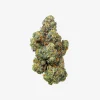 THC-A Flower / Purple Push Pop / 3.5g Jar / Haze Exotics Platinum Reserve