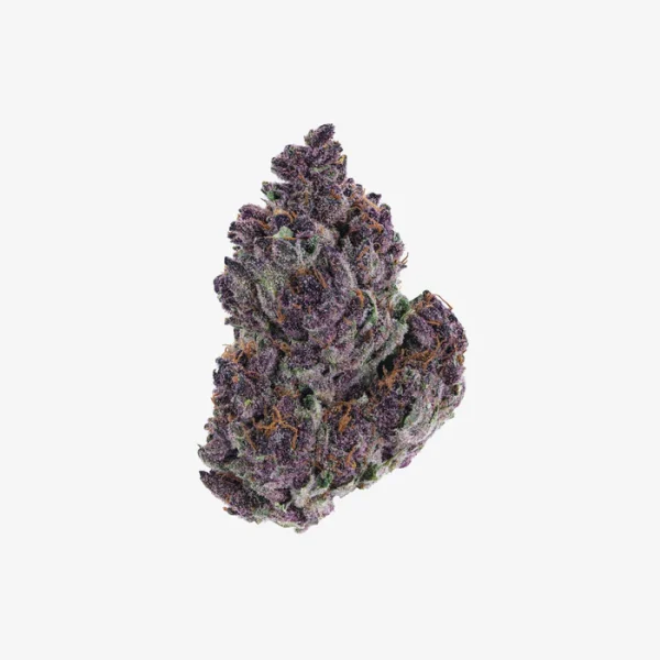 THC-A Flower / Grandaddy Purp / 1g Preroll / Haze Exotics Platinum Reserve