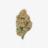 THC-A Flower / Lemon Punch / 1g Preroll / Haze Exotics Platinum Reserve