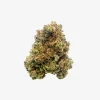 THC-A Flower / Space Pop / 1g Preroll / Haze Exotics Platinum Reserve