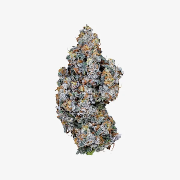 THC-A Flower / Astro Candy / 3.5g Jar / Haze Exotics