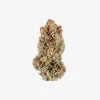 THC-A Flower / Cement Shoes / 3.5g Jar / Haze Exotics