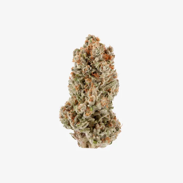 THC-A Flower / Cement Shoes / 3.5g Jar / Haze Exotics