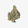 THC-A Flower / Cheetah Piss / 1g Preroll / Haze Exotics