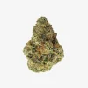 THC-A Flower / Monica Lewinsky / 1g Preroll / Haze Exotics