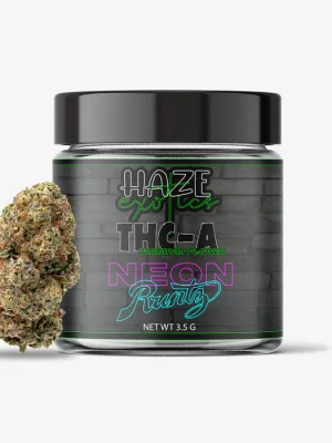 THC-A Flower / Neon Runtz / 3.5g Jar / Haze Exotics
