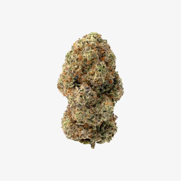 THC-A Flower / Neon Runtz / 3.5g Jar / Haze Exotics