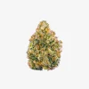 THC-A Flower / Obama Runtz / 1g Preroll / Haze Exotics