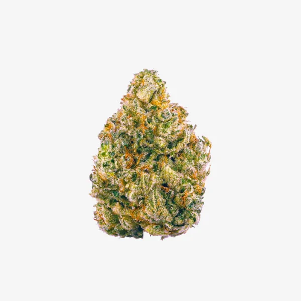 THC-A Flower / Obama Runtz / 1g Preroll / Haze Exotics