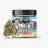 THC-A Flower / Pablos Revenge / 3.5g Jar / Haze Exotics