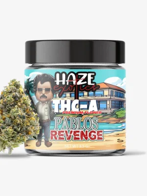 THC-A Flower / Pablos Revenge / 3.5g Jar / Haze Exotics