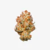 THC-A Flower / Papaya Bang Bang / 3.5g Jar / Revenge
