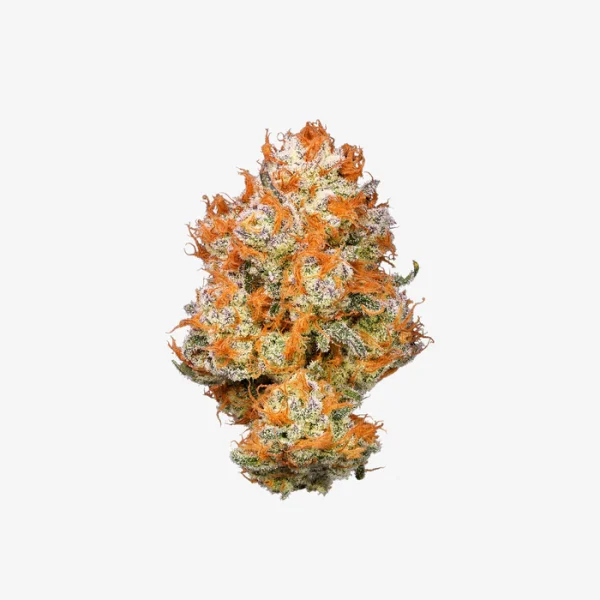 THC-A Flower / Papaya Bang Bang / 3.5g Jar / Revenge