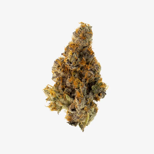THC-A Flower / Sherbzooka / 3.5g Jar / Haze Exotics