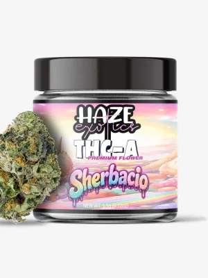 THC-A Flower / Sherbacio / 3.5g Jar / Haze Exotics