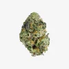 THC-A Flower / Sherbacio / 3.5g Jar / Haze Exotics