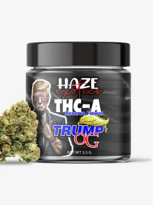 THC-A Flower / Trump OG / 3.5g Jar / Haze Exotics