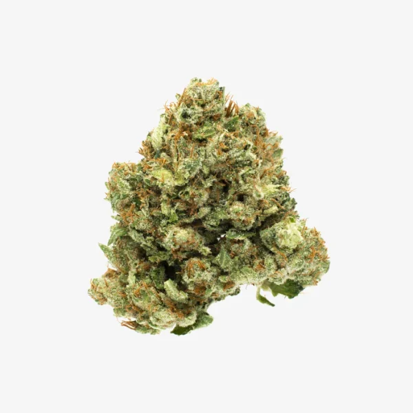 THC-A Flower / Trump OG / 3.5g Jar / Haze Exotics