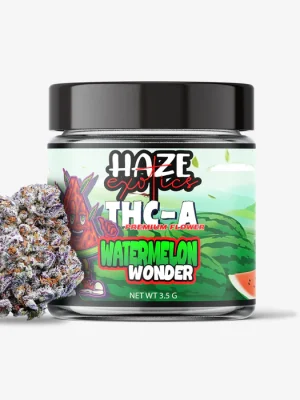 THC-A Flower / Watermelon Wonder / 3.5g Jar / Haze Exotics