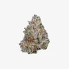THC-A Flower / White Truffle / 3.5g Jar / Haze Exotics