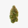 THC-A Flower / Petrol Potion / 3.5g Jar / Haze Exotics