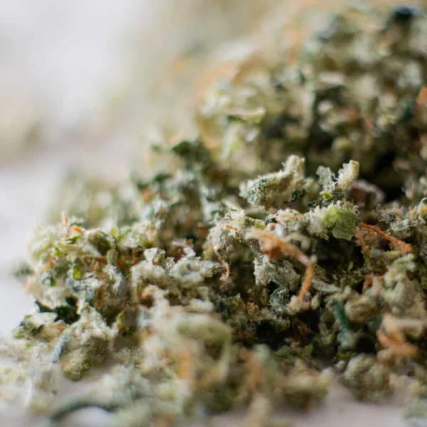THC-A Ground Flower / Donkey Batter / Haze Exotics