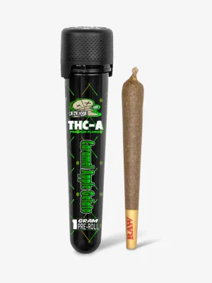 THC-A Flower / Caramel Apple Gelato / 1g Preroll / Revenge