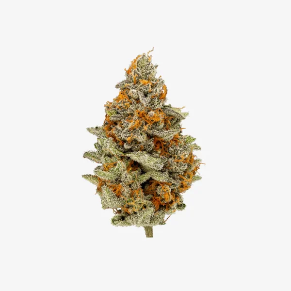 THC-A Flower / Rainbow Belts / 3.5g Jar / Revenge