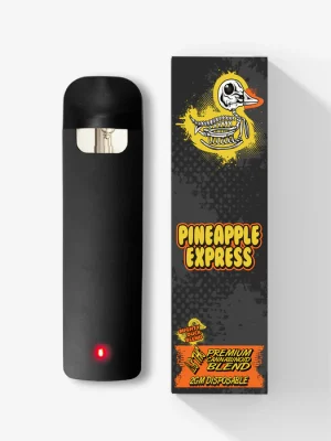 Delta 8 THC Blended Disposable - 2g - Pineapple Express - Rubber Duckie